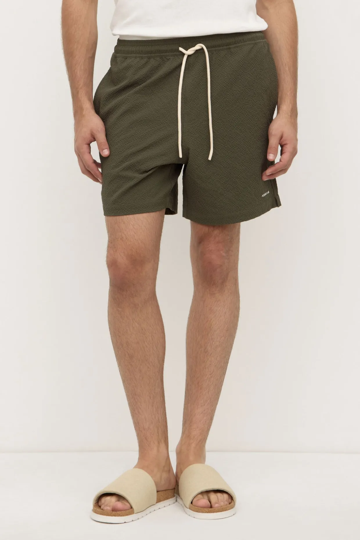 Seth Swim Short