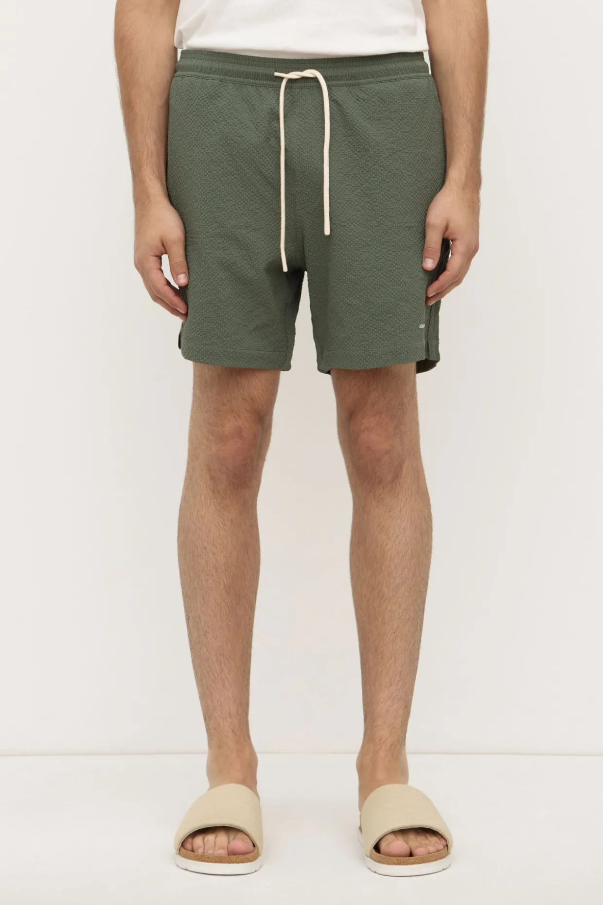 Seth Swim Short